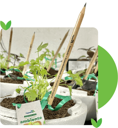 sustentabilidade ESG