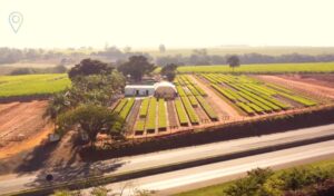 Painéis isotérmicos na agricultura para conservação e proteção de produtos